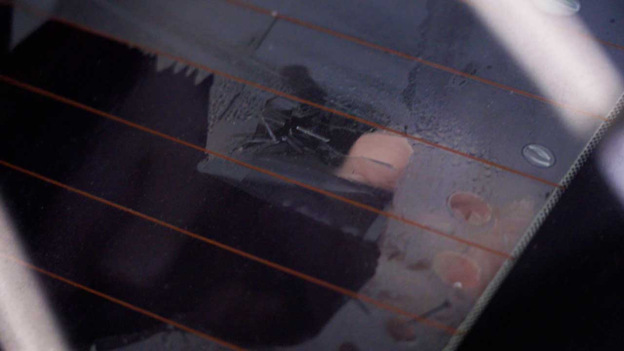 Expert Tesla Window Tint Removal in Garland